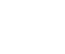 Flutterwave Logo